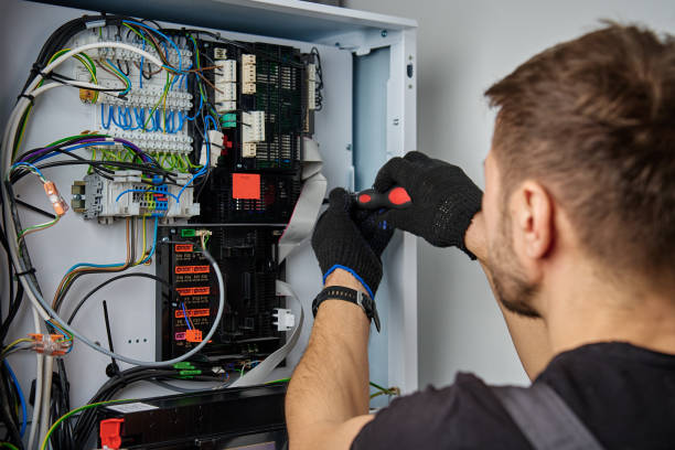 Licensed Electrical Panel Upgrade service in Lake City, MN - No Joke electrician
